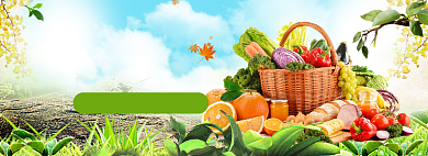 水果促销模版banner背景