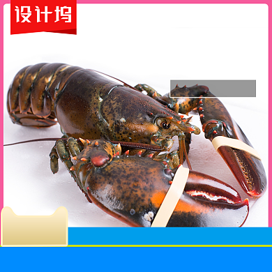 清新夏季天猫食品海鲜主图背景