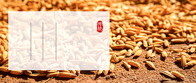 芒种节气简约新媒体配图背景