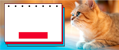 萌宠来了美容公众号号首图背景