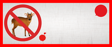 禁止食用野生动物手绘公众号首图背景