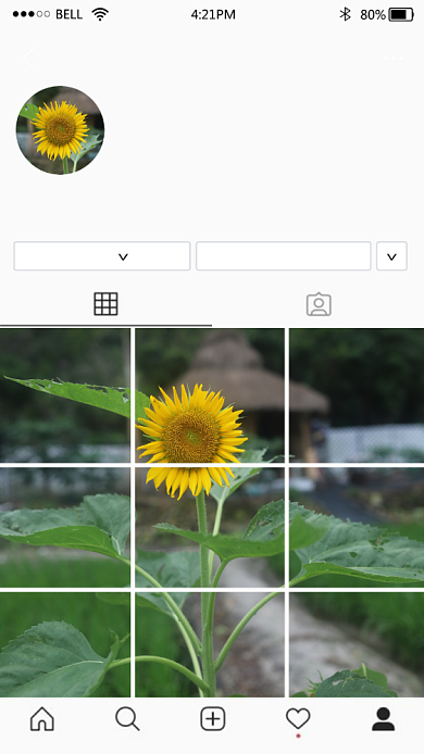 国外ins趣味截图海报背景