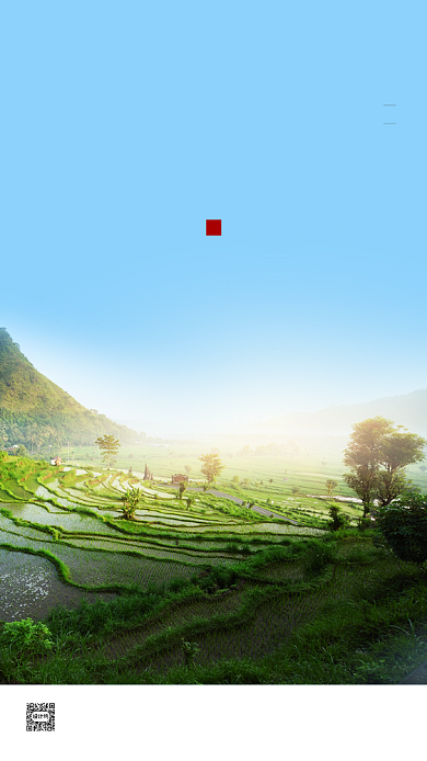 自然风景芒种海报背景