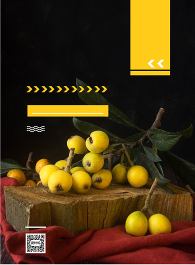 时尚水果枇杷印刷海报背景