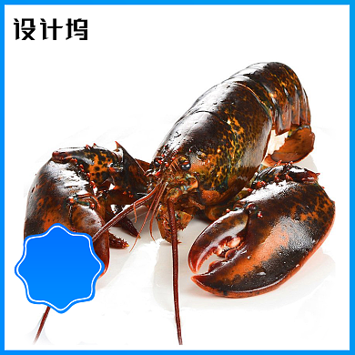 清新夏季天猫食品海鲜主图背景