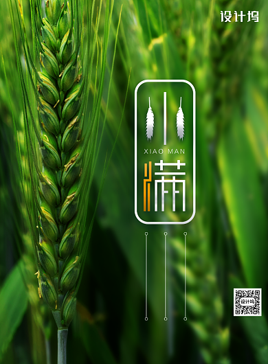 简约创意小满传统节日海报背景