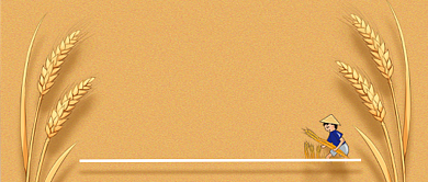 芒种时节橙色创意简约公众号首图背景