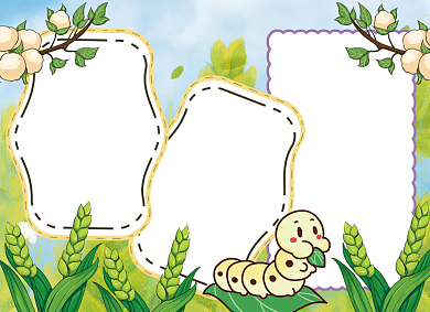 芒种节气手抄报黑白线描小报背景