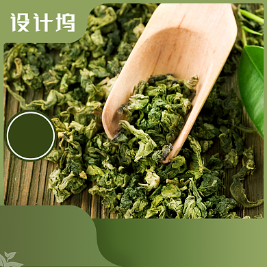 茶叶春茶绿茶春茶预订主图背景