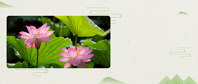 绿色古风二十四节气大暑公众号首图背景