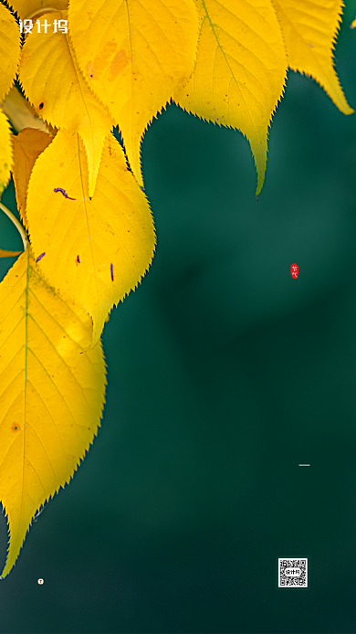 处暑节气简约摄影图手机海报背景