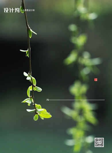 绿色植物摄影房地产宣传销售印刷海报背景