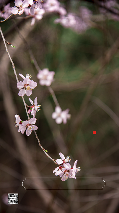 早安早上好日签手机海报背景