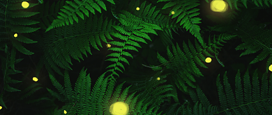 晚安问候绿色公众号封面背景