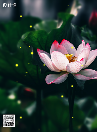 简约中国传统二十四节气小暑海报背景