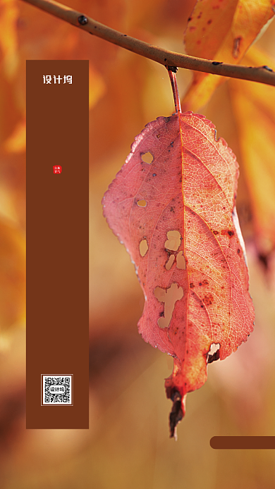 立秋节气简约创意宣传海报背景