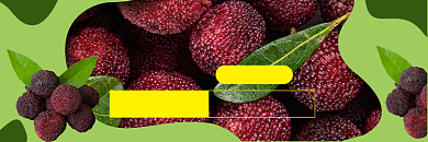 饿了么水果铺杨梅荔枝优惠店招背景