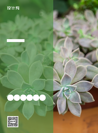 清新简约创意绿色多肉促销海报背景