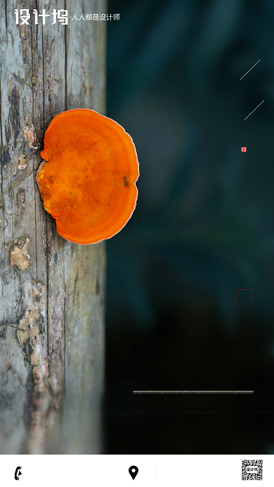 房地产传统三伏天中伏手机海报背景