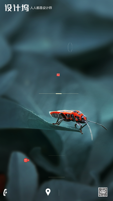 房地产传统三伏天末伏手机海报背景