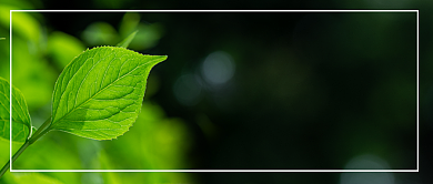 早安世界励志语言公众号首图背景