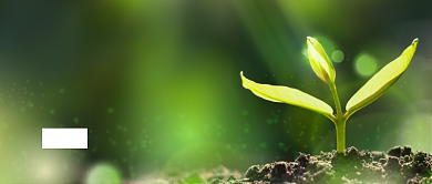 早安正能量实景简约公众号封面背景