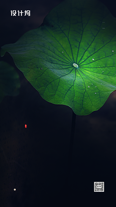 处暑节气简约摄影图片手机海报背景