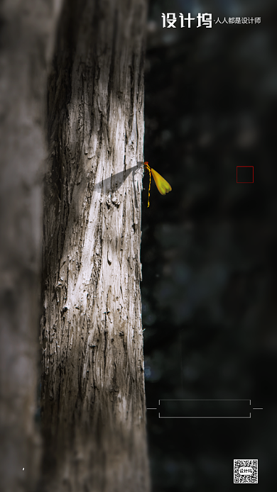 房地产传统三伏天末伏手机海报背景