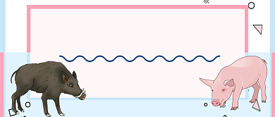 判断猪被驯化的时间公众号首图背景