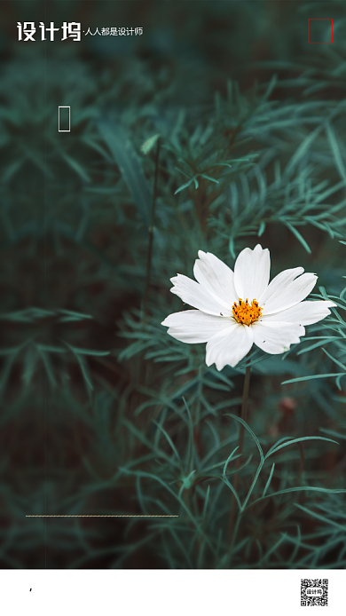 房地产传统三伏天末伏手机海报背景