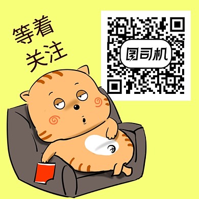 黄色可爱猫咪新媒体二维码