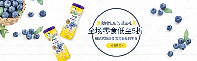 精选优质蓝莓促销淘宝banner
