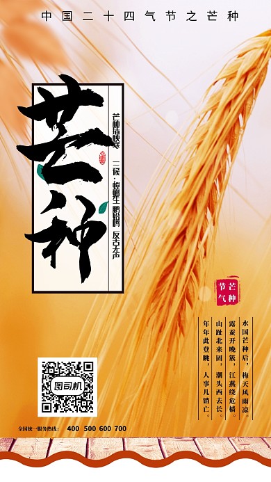 芒种黄色主题海报