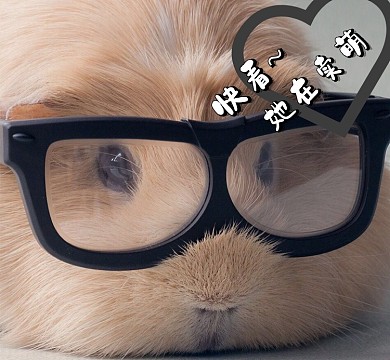 可爱卖萌朋友圈封面