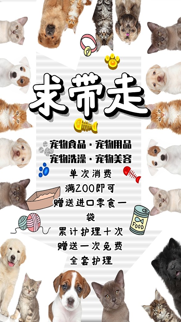 创意可爱宠物护理促销海报