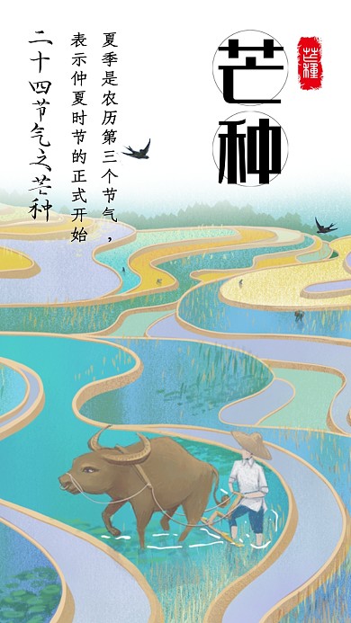 灰色传统插画芒种时节手机海报