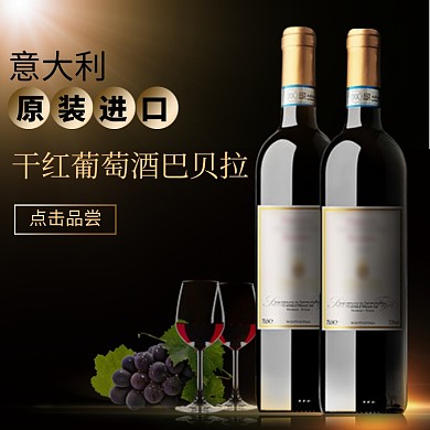 意大利进口葡萄酒巴贝拉淘宝直通车图片