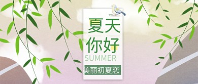 夏天你好公众号首图