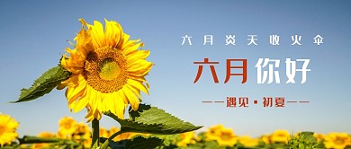 六月初夏向日葵微信公众号素材图片