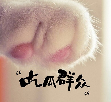 可爱猫爪吃瓜群众朋友圈封面