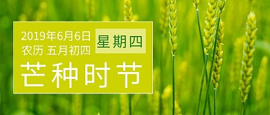 芒种时节公众号首图