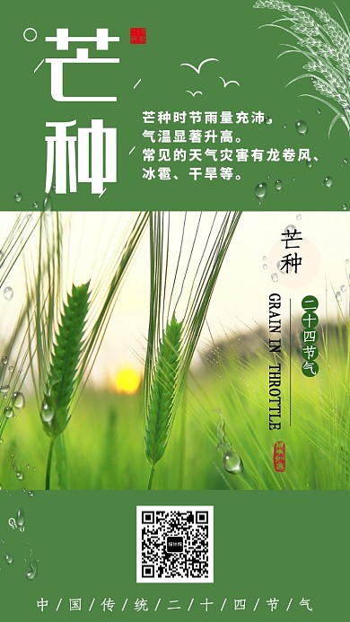 绿色清新传统芒种时节展板海报