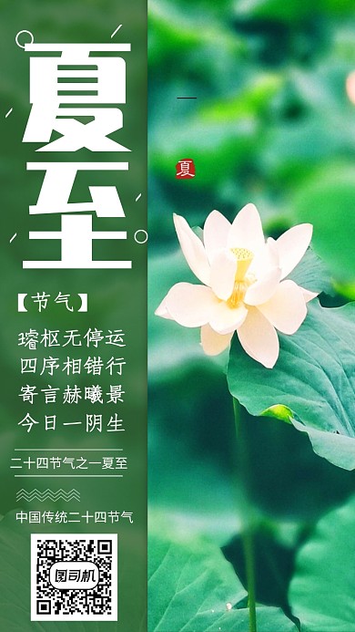 中国传统节气夏至海报