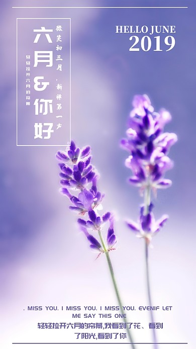 6月浪漫海报