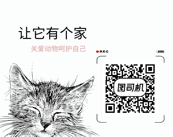 卡通可爱手绘小猫二维码
