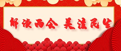 解读两会关注民生公众号首页