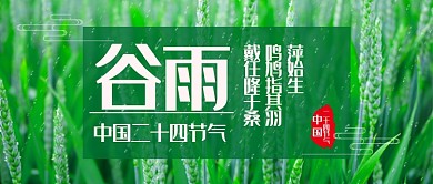 谷雨节气绿苗公众号首图