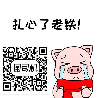 扎心了老铁简约手绘猪新媒体二维码