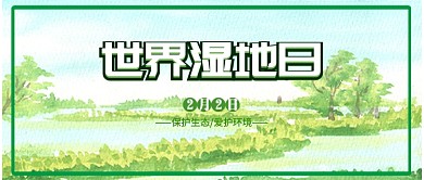 水彩插画简约风世界湿地日公众号首图