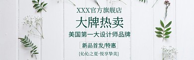 淡雅植物促销banner